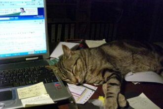 Soseki, dormido mientras aprendía a escribir