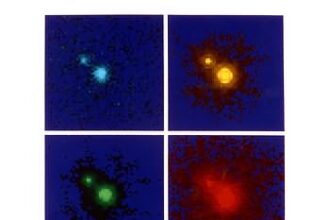 Quasar 1208+101Split by Gravitational Lenses