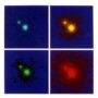 Quasar 1208+101Split by Gravitational Lenses
