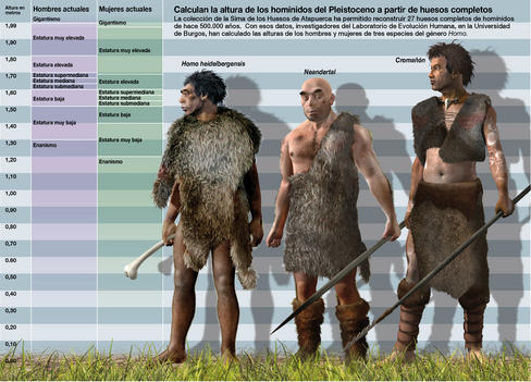 Los investigadores han calculado la altura de los homínidos del Pleistoceno a partir de huesos completos. Infografía: SINC/José Antonio Peñas.