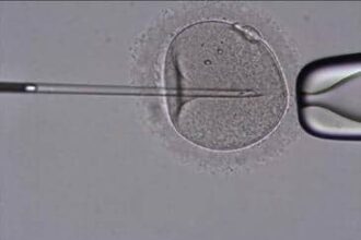 terapias de fertilidad