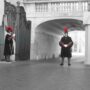 guardia suiza vaticana