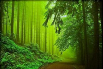 Naturaleza
