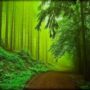 Naturaleza
