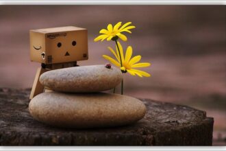 Muñeco, piedras zen y flores