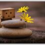 Muñeco, piedras zen y flores