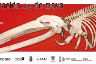 Museo de Ciencias Naturales Los Yébenes