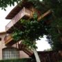 Hotel Jakue Casa del Árbol