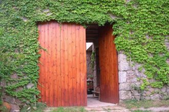 Puerta abierta. Hiedra
