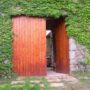 Puerta abierta. Hiedra