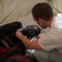 Juba displaced camp clinic 2014 JAN