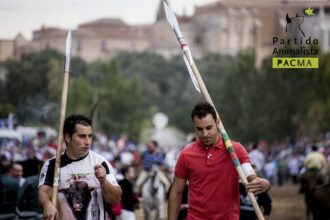 toro de la vega 2014
