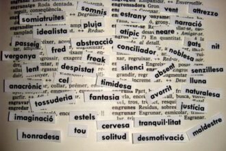 diccionario vocabulario palabras