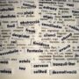 diccionario vocabulario palabras