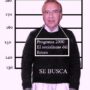 Alfonso Guerra, el socialista