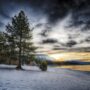 nieve