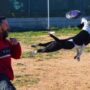 disc dog