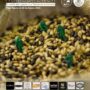 Cartel IV CHB