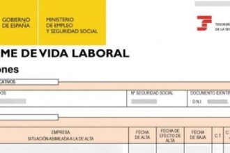 Vida laboral