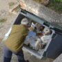rebuscando contenedor basura