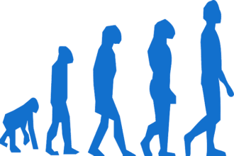 evolución