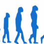 evolución
