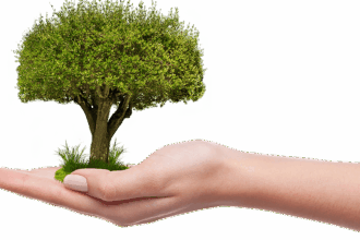 crecer árbol medioambiente