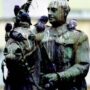 estatua ecuestre franco cagada palomas
