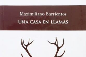 Una casa en llamas Maximiliano Barrientos