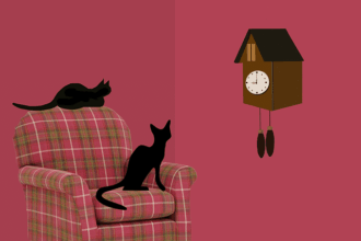 gatos