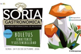 Soria Gastronómica