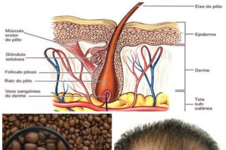 cafeina-crecimiento-cabello
