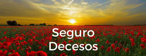 Seguro-Decesos