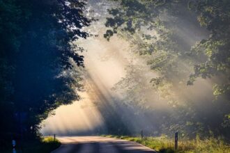 5 Consejos para atraer buenas energías a tu casa