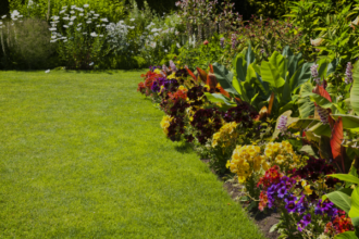 Beneficios de contar con un buen jardín