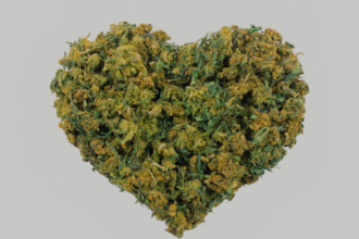 Marihuana legal ¡Sí se puede!