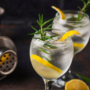 Recetas para disfrutar del mejor gin tonic