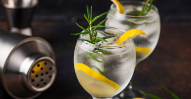 Recetas para disfrutar del mejor gin tonic