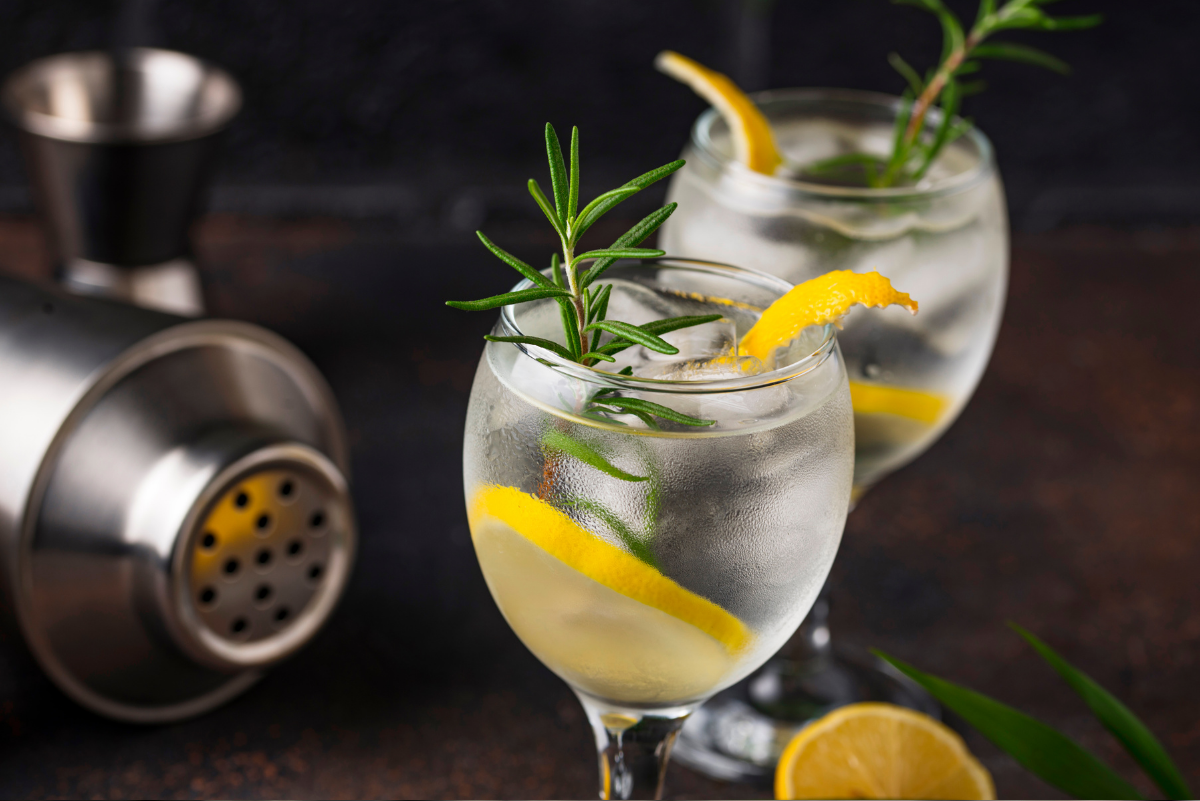 Recetas para disfrutar del mejor gin tonic