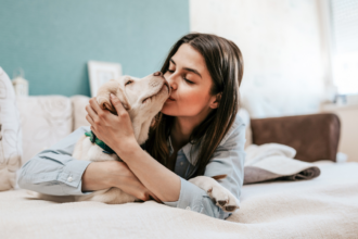 Tipos de mascotas que se puede tener en casa