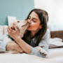 Tipos de mascotas que se puede tener en casa