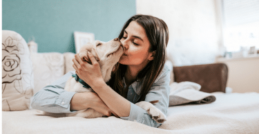 Tipos de mascotas que se puede tener en casa
