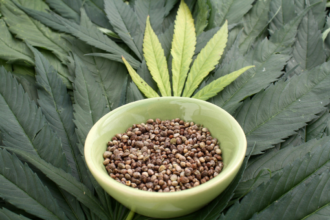Semillas de marihuana y su acertada floración rápida